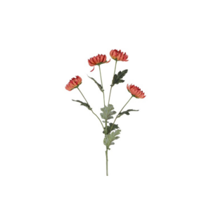 Krýsantemum - ljós lilla, h: 83cm