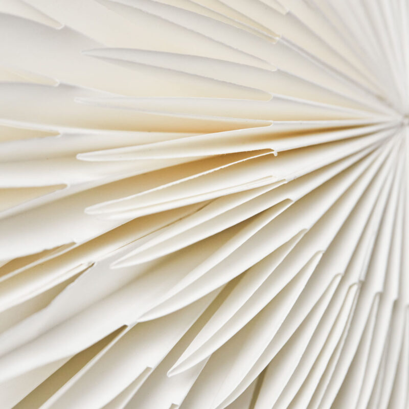 LAYER - Pappastjarna, 30cm - Image 4