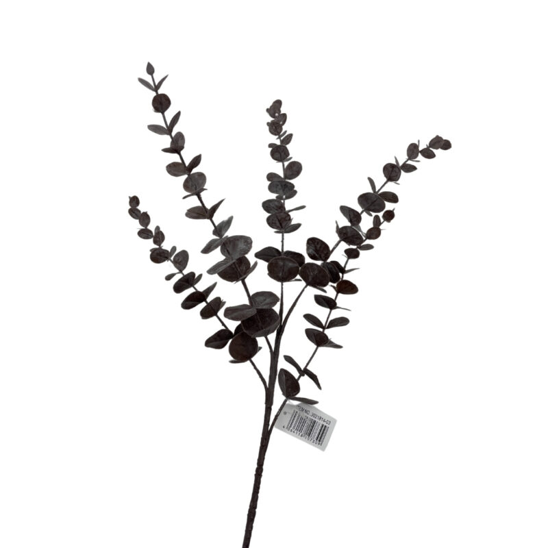 Eucalyptus grein - rauðbrún  H:70cm