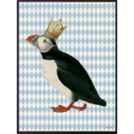Mynd - King Puffin, 30x40cm