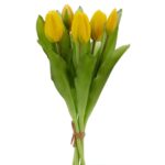 Túlípana búnt 5stk gulir h:32cm