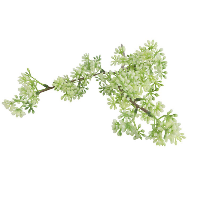 Kirsuberjagrein - hvít, h: 65cm - Image 2