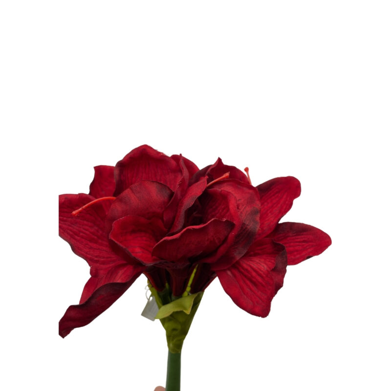 Amaryllis - rauður h:66cm - Image 2