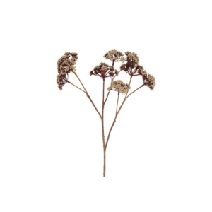 Eupatorium - beige, 57cm