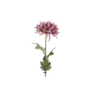 Chrysanthemum - lilla, h: 68cm