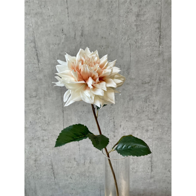 Dahlia - krem h: 71cm - Image 3