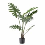 Potta planta gerfi Philodendron H84cm