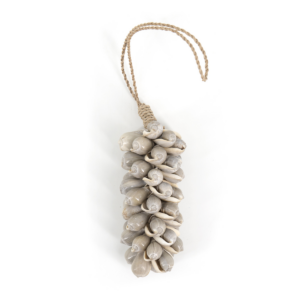 Marine gráar sjávar skeljar 5x5x12cm