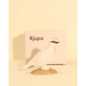 Íslandsfuglar - Rjúpa