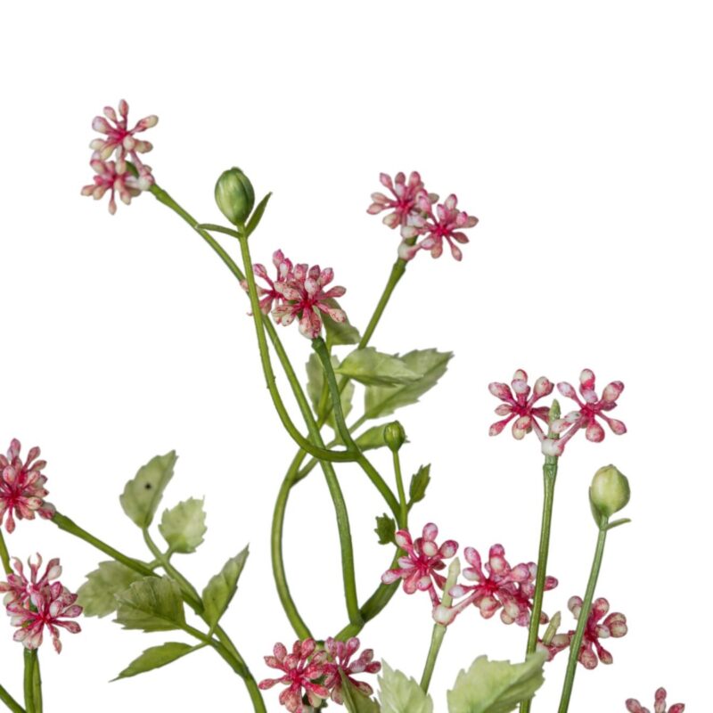 Pumila búnt - bleikt, 34cm - Image 2