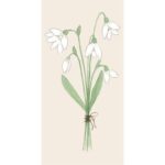 Servíettur - snowdrops 16 í Pk