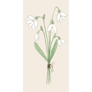 Servíettur - snowdrops 16 í Pk