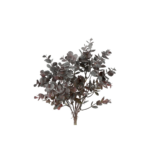 Eucalyptus búnt, purple  h: 33cm