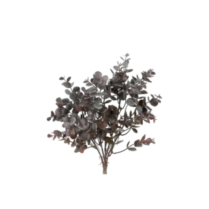 Eucalyptus búnt, purple  h: 33cm
