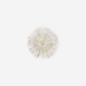 LAYER - Pappastjarna, 40cm