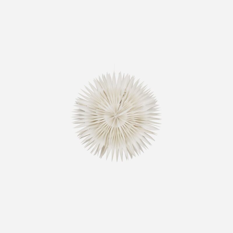 LAYER - Pappastjarna, 40cm