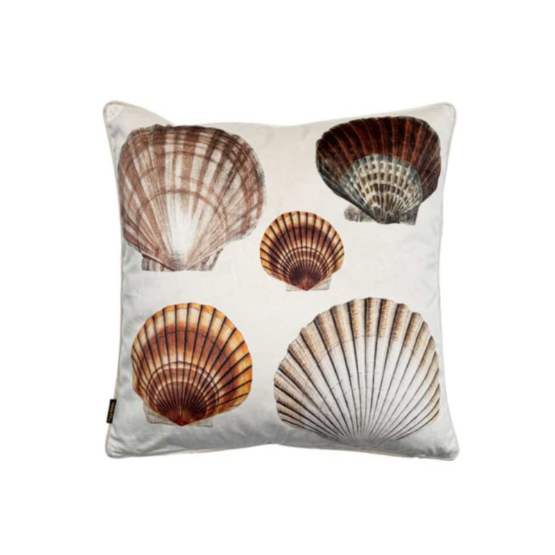 SEASHELL - Púði, 50cm