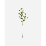 JAPONICA - græn grein