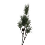 Greni grein m/könglum h:87cm