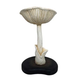 DEER MUSHROOM - Kertastjaki