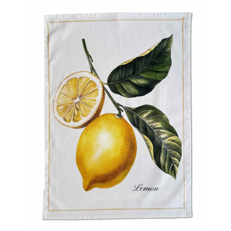 LEMON - Viskustykki