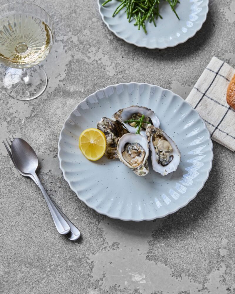 SCALLOP - Matardiskur, 26cm ljós blár - Image 3