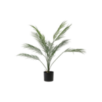 Burkni í potti h: 95cm