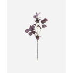 EUCALYPTUS - burgundy