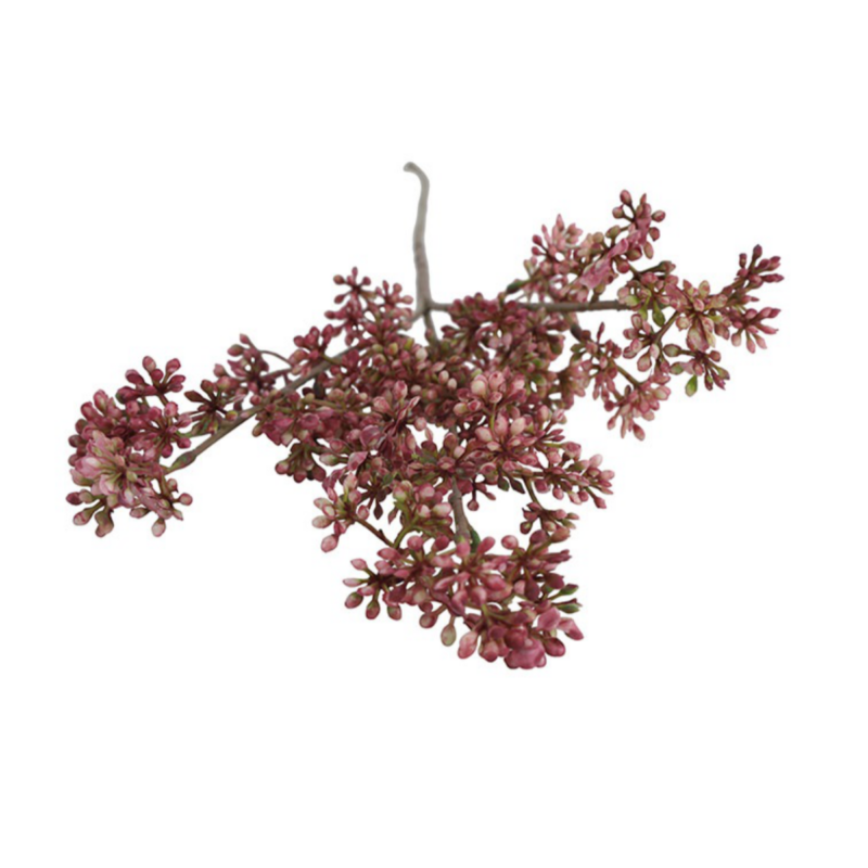 Kirsuberjagrein - fuchsia, h: 65cm - Image 2