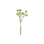 Allium hvítt 3stk h:46