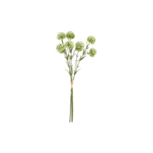 Allium hvítt 3stk h:46