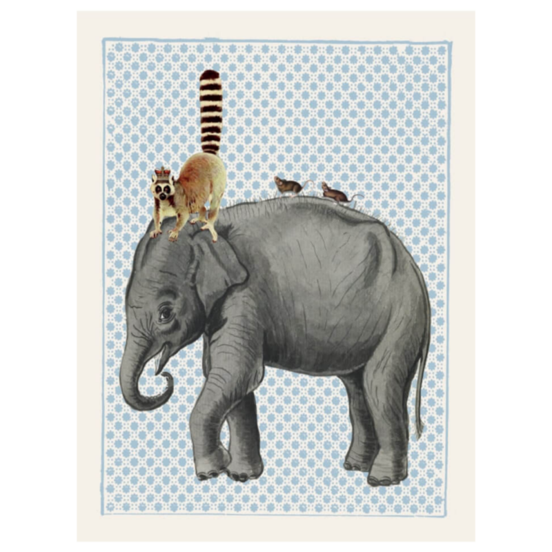 Mynd - Elephant