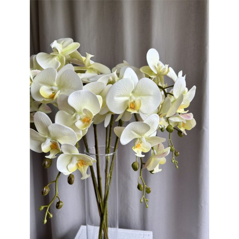 Orkidea - grænt/hvít, 87cm - Image 4
