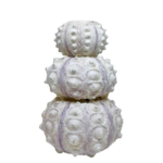 SÆBJÚGA - Kertastjaki