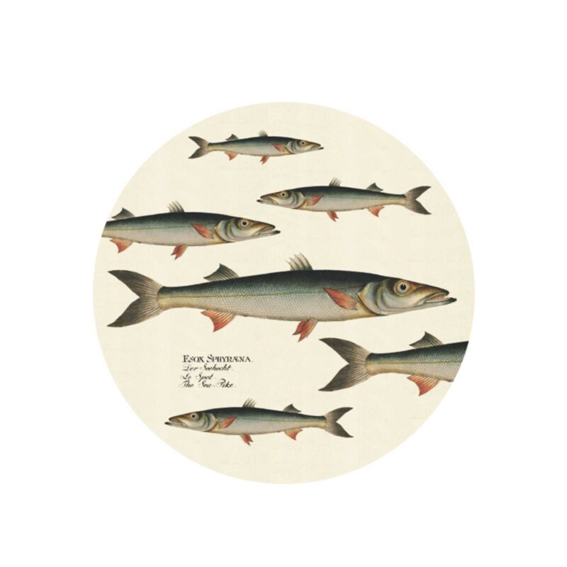 FISH - glasamottur, 4stk