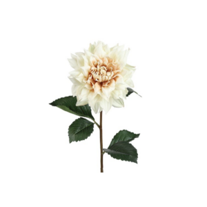 Dahlia - krem h: 71cm