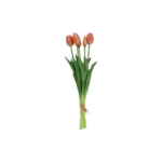 Tulipana búnt - peach, 41cm