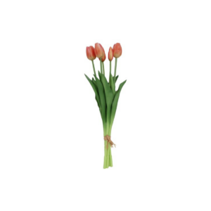 Tulipana búnt - peach, 41cm