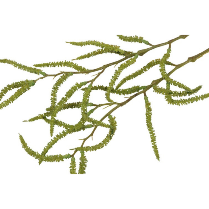 Amaranthus - græn, 80cm - Image 2