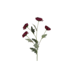 Krýsantemum - lilla h: 83cm