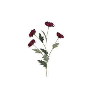 Krýsantemum - lilla h: 83cm
