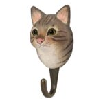 Snagi Tabby köttur