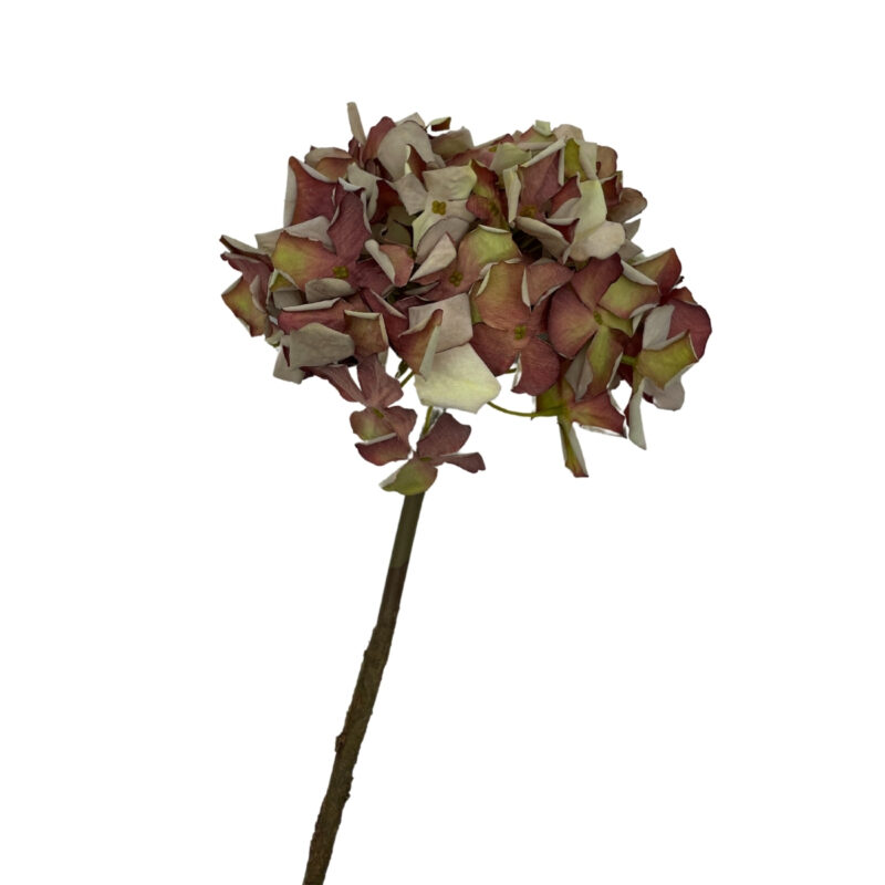 Hortensia, bleik h:62cm