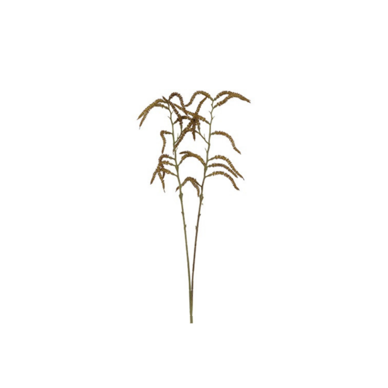 Amaranthus natur, 80cm