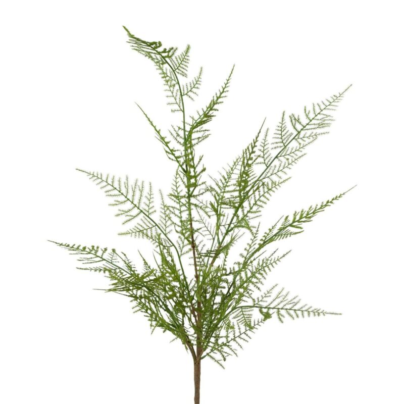 Fern vöndur h:60cm