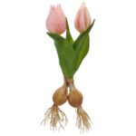 Túlípanalaukar 2stk bleikir h:21