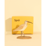 Íslandsfuglar - Spói