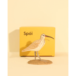 Íslandsfuglar - Spói