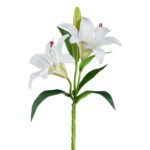 Lilja - hvít, 39cm