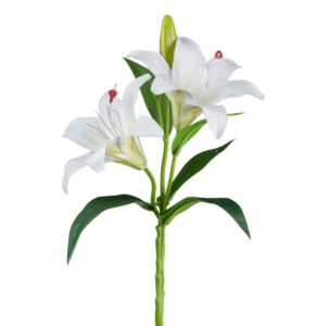 Lilja - hvít, 39cm